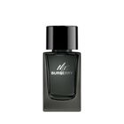 Mr. Burberry image number null