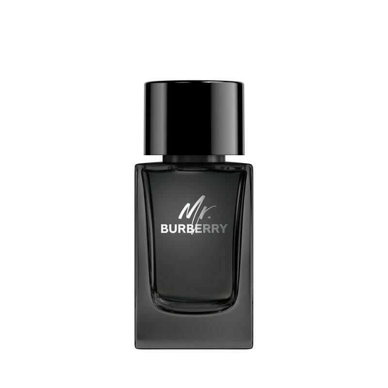 Mr. Burberry image number null