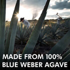Blanco Tequila  image number null