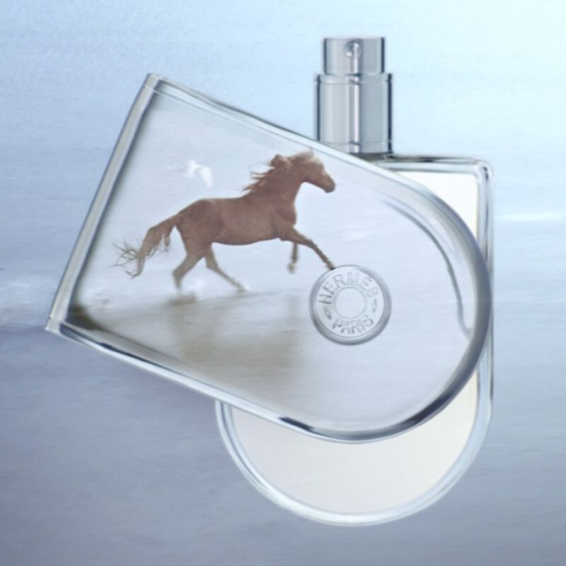 Voyage d'Hermès image number null