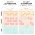 Advanced Ceramide and Retinol Ceramide Capsules Day & Night image number null