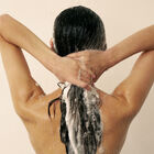 Purifying Scrub image number null