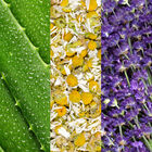 Facial Spray With Aloe, Chamomile & Lavender image number null