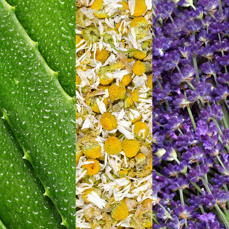 Facial Spray With Aloe, Chamomile & Lavender image number null