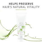 Elements Conditioner image number null
