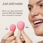 Cheeky Blusher image number null
