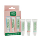 Lip Balm Trio  image number null