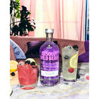 Wildberri Swedish Vodka image number null