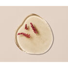 Fortifying Shampoo with Amaranth Peptides  image number null