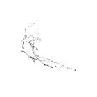 Eau Dynamisante image number null