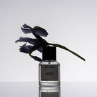 Morning After image number null