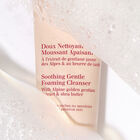 Soothing Gentle Foaming Cleanser image number null