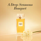 Untold Absolu image number null