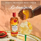 Flor de Sevilla Gin image number null