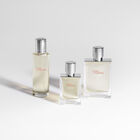 Terre d'Hermès Eau Givrée image number null