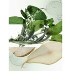 H24 Herbes Vives image number null