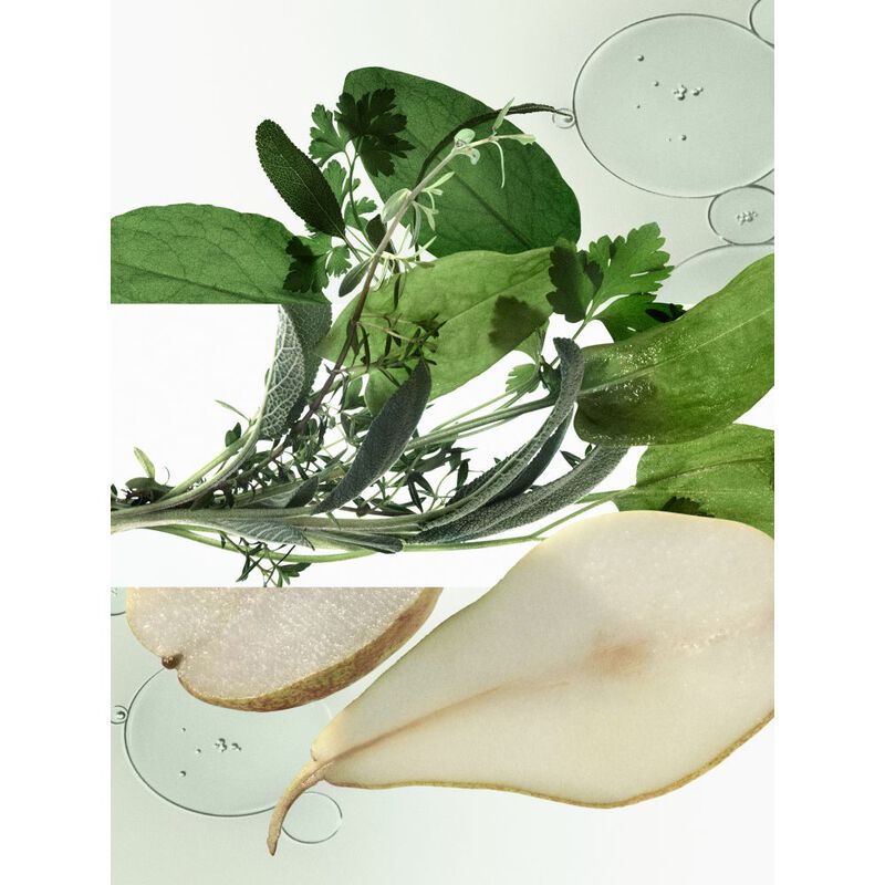 H24 Herbes Vives image number null