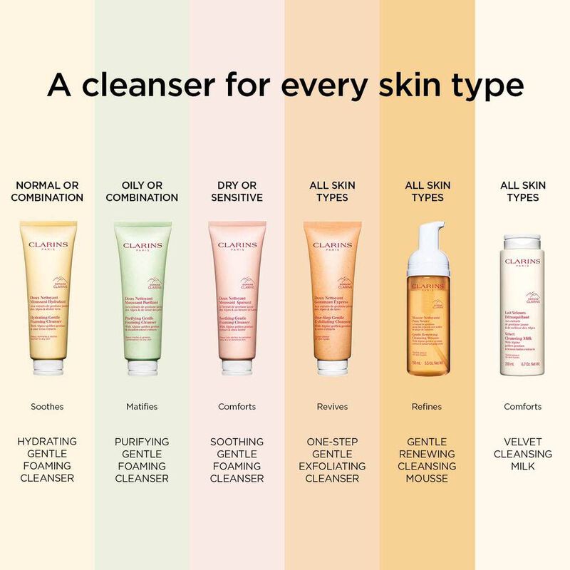 Purifying Gentle Foaming Cleanser image number null