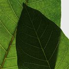 Super Restorative Night Cream All Skin Types image number null