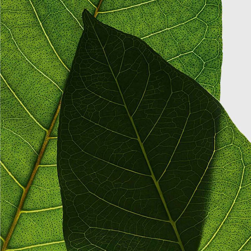 Super Restorative Night Cream All Skin Types image number null