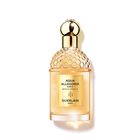 Aqua Allegoria Forte Bosca Vanilla image number null
