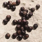 Light Blue Capri In Love Male image number null