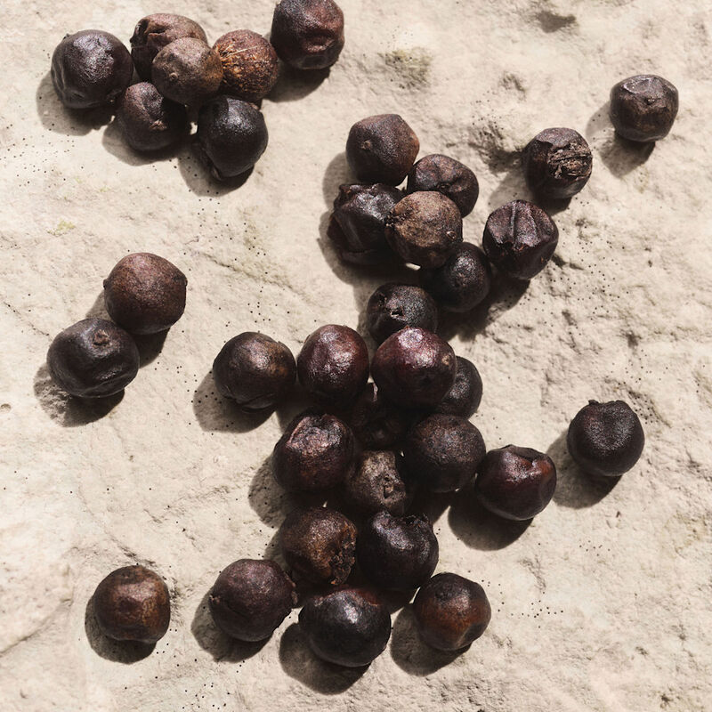 Light Blue Capri In Love Male image number null