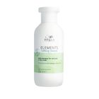 Elements Shampoo  image number null