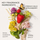 Green Tea Strawberry Basil Honey Drops Body Cream, 500ml image number null