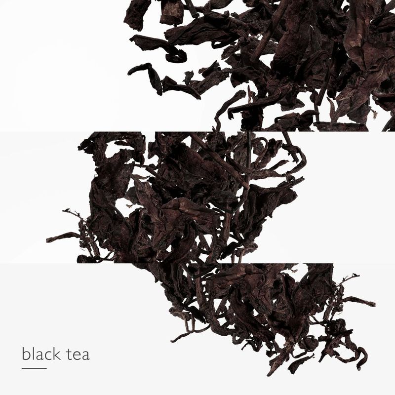 L'Ombre des Merveilles image number null