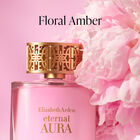 Eternal Aura image number null