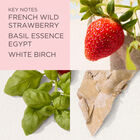 Green Tea Strawberry Basil image number null