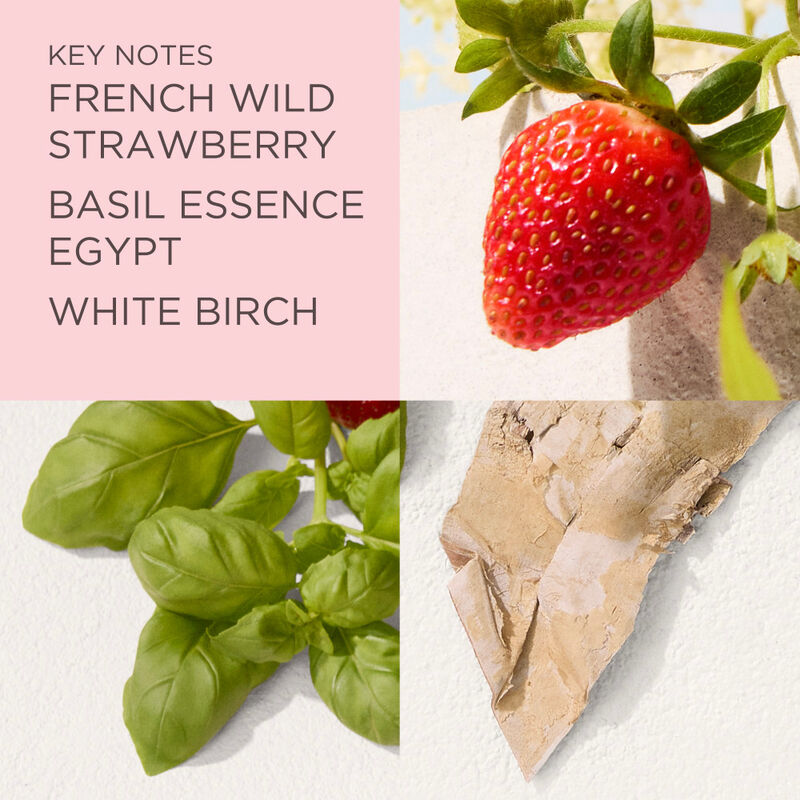 Green Tea Strawberry Basil image number null