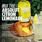 Citron Vodka Sweden image number null
