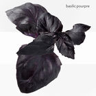 Eau de Basilic Pourpre image number null