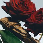 Velvet Rose & Oud Body Creme image number null