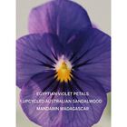 Bare image number null