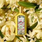 Flora Gorgeous Orchid image number null