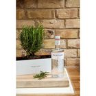 Gin  image number null