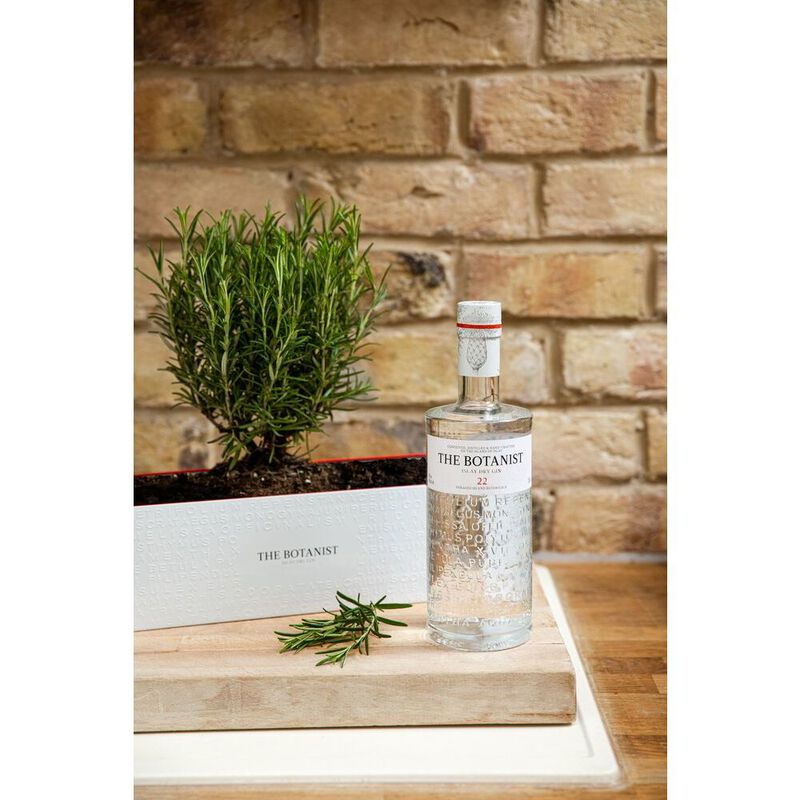 Gin  image number null