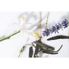 Libre  image number null