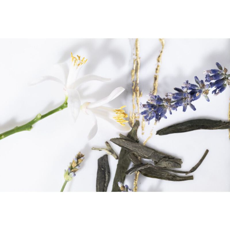 Libre  image number null