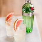 No.Ten Gin image number null