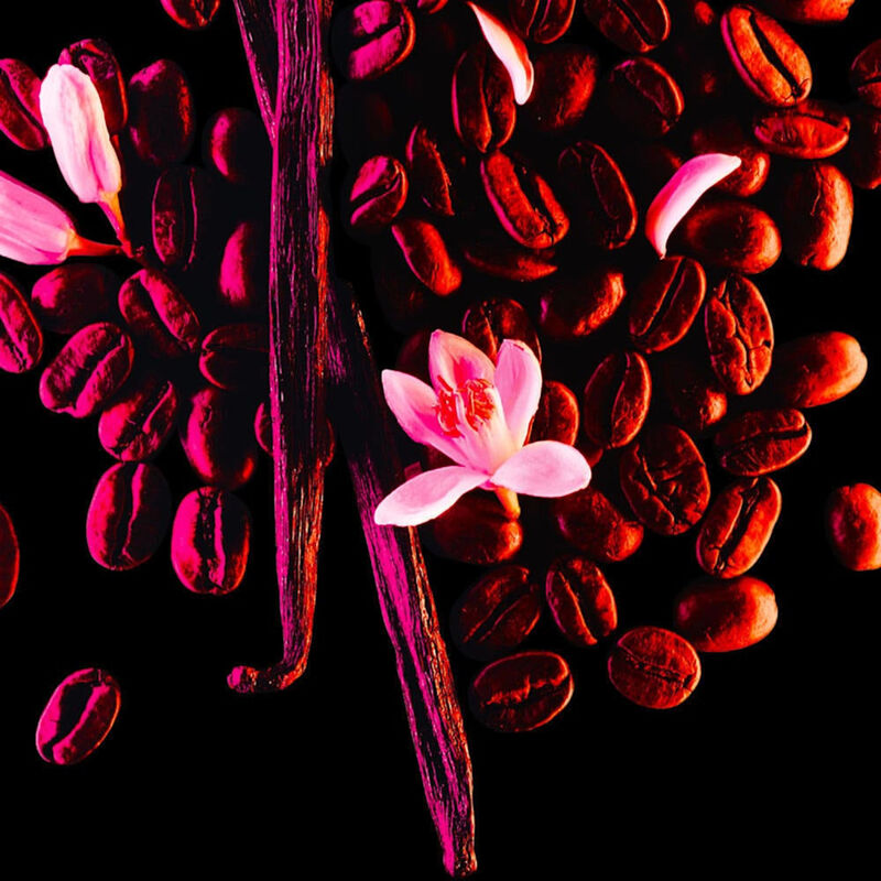 Black Opium  image number null