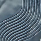 Purifying Shampoo image number null