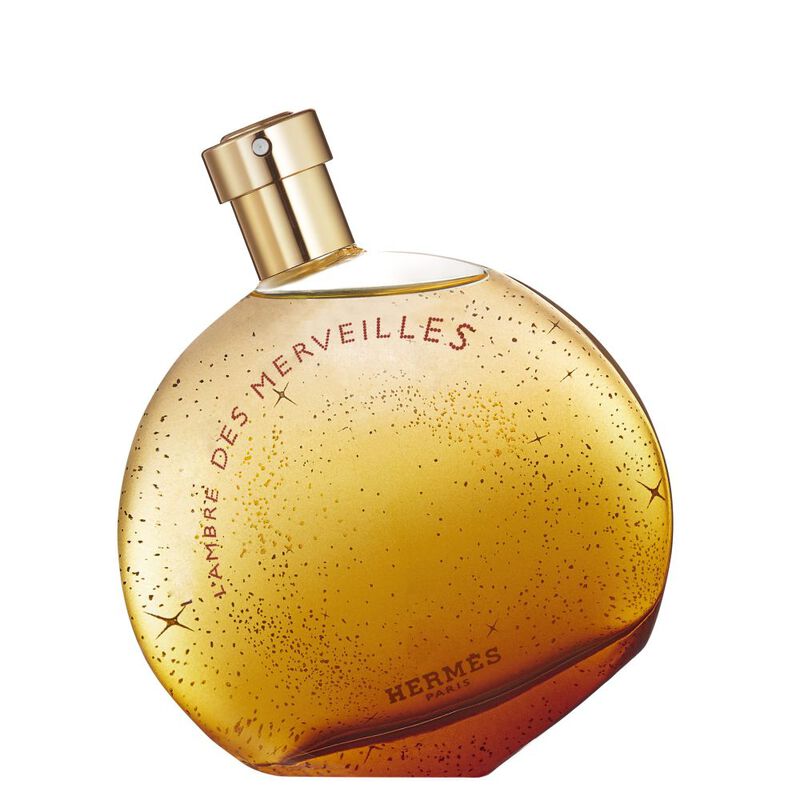 L'Ambre des Merveilles image number null