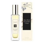 Silver Birch & Lavender Cologne  image number null
