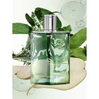 H24 Herbes Vives image number null
