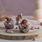 Original Seashell Travel Exclusive image number null