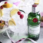 London Dry Gin image number null